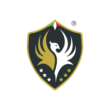 Fenice security services 
